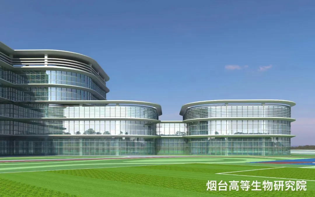 大跨度 高精度 超節(jié)能|鳳鋁助力煙臺城市更新，展登州新貌